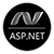 Asp.net Internet Development